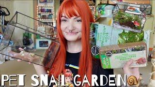 building a snail garden 