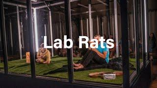 Berlin Circus Festival: "Lab Rats" Cie Moost (CH)