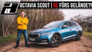 Der NEUE Skoda Octavia Scout 2.0 TDI (200PS, 400Nm) | Der Allrad Alleskönner? | REVIEW