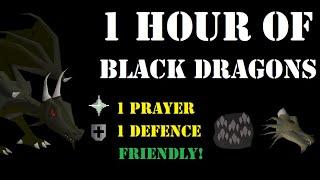 1 Hour of Black Dragons as a Pure (82 Ranged) - OSRS