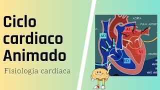 Ciclo cardiaco FÁCIL y ANIMADO  | Fiebre Medica