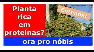 PLANTA RICA EM PROTEÍNA VEGETAL?  |  ORA PRO NÓBIS  | DR GUSTAVO DUARTE PIMENTEL