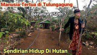 Rumah Sendirian di Hutan Milik Manusia Tertua Tulungagung