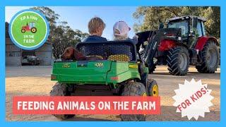 Feeding Cattle and Sheep on the Farm | Animal Care with Kip and Finn