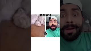 Cat And Rat Are Best Friends | Gurpreet Gippee Funny Video | Punjabi Funny #Gippee #cat #rat #shorts