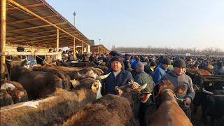 Shahidon mol bozori ģunajinlar VA sigirlar narhlari bilan tanishing 4.03.2025yil