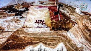 Satisfying Carpet Cleaning ASMR | Transforming Filthy Rugs into Fresh Masterpieces