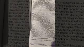 Genesis (B’resheet) 44 | Tanakh/Old Testament | Audio Bible | CJB | Complete Jewish Bible