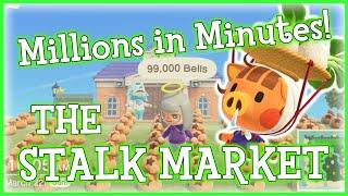 FULL Turnip + Stalk Market Guide (Millions WITHOUT CHEATING!) [ACNH]