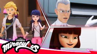 MIRACULOUS |  COMPILATION 7 - SEASON 5  | Tales of Ladybug & Cat Noir