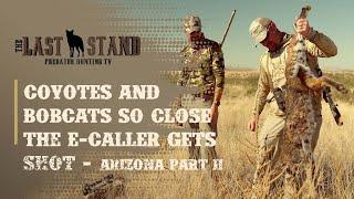 Coyotes and Bobcats So Close The E-caller Gets Shot | The Last Stand S4:E4