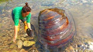 Mutant Harry, give me a different top-level pearl harvest