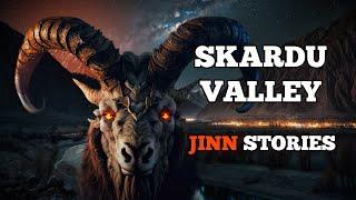 Skardu Valley Jinn Stories - Episode 58 | Dude Horror