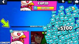 CUPID!!!CURSED NEW BRAWLER!!!|FREE GIFTS|Concept