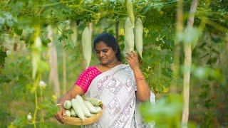  Farm Fresh Snake Gourd Harvest  | Kadayal, Stir Fry & a Surprising Halwa! 