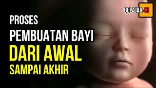 Proses Kehamilan dari Awal Sampai Akhir (Proses Pembuatan Bayi)