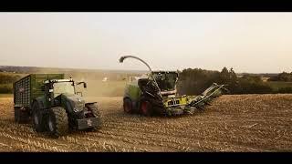 Maisernte 2020 - Garten- und Landschaftsbau Frank Trömpert