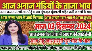 अनाज मंडी भाव| 03/12/2024 सरसों ग्वार में सुधार| नरमा धान में गिरावट| जीरा इसबगोल में 500₹ की तेजी,