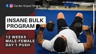 INSANE BULK "DAY 1- PUSH"- 12 weeks Muscle Building Program [FREE] | Sardar Atique #bodybuilding