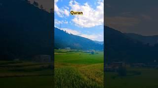 Surah Maryam #translation in urdu #lovequran#viral#quran#shorrs