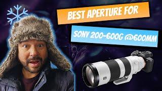 Sony 200-600g secret for sharper pictures