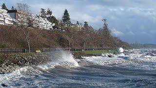 On The Rise – Conservation & Sea-Level Rise in British Columbia