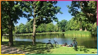 Uitzending - Het groen in de stad