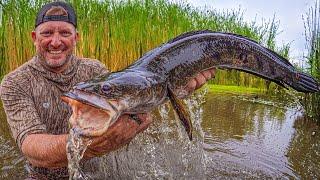 These fish have TAKEN OVER South Florida! {Catch Clean Cook}