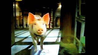 Babe: Pig in the City, RARE 15-second teaser commercial, aired on NBC, Nov 18, 1998