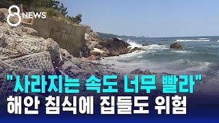 "사라지는 속도가 너무 빨라"…해안 침식에 집들도 위험 / SBS 8뉴스