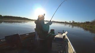 Ловля Судака в Корягах ▶ Fishing 2023 | #vovabeer