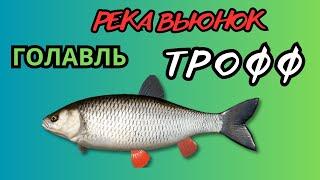 Русская Рыбалка 4. Река Вьюнок. ТРОФФ Голавля