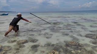 his javelin throwing skill is used to spear fish | Hunting and cooking.