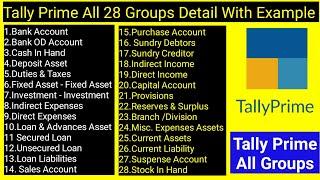 Tally Prime All 28 Groups Detail With Example