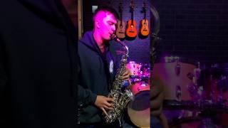 Test Stewart Ellis Pro Series Alto Sax Silver - Jimmy Market