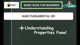 Basic Nuke for Beginner 004 || Understanding Properties Panel