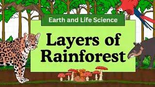 Layers of Rainforest | Wee Tinkers | learning for kids | Geography | Rainforest | earth | #school