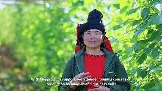 Seeds of Change: A journey with ethnic minority communities in Northwest Vietnam