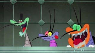 Oggy and the Cockroaches  JACKOMEO AND BOBETTE  Full Episodes HD