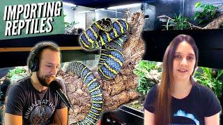 Ethically Importing Exotic Reptiles | Ashley Dezan