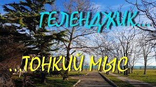 ГЕЛЕНДЖИК...ВЕСНА НАСТАЛА... ТОНКИЙ МЫС... ИСТОРИЯ ГОРОДА... 3 февраля 2019...