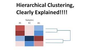 StatQuest: Hierarchical Clustering