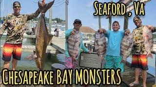 DINOSAUR Cobia and Sheepshead  CITATIONS : Amazing Late Summer Chesapeake Bay Reef Fishing