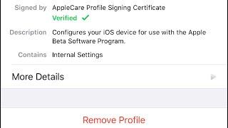 How to Remove iOS 14 Beta Profile