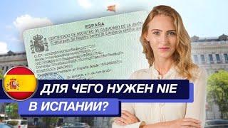 Для чего нужен NIE в Испании? | Как получить NIE в Испании?