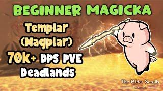 ESO Beginner Magicka Templar (Magplar) 70k+ PVE DPS Build UPDATED Build in Description