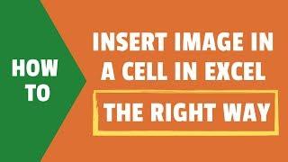 How to Insert Image in Excel Cell (Step-by-Step Guide)