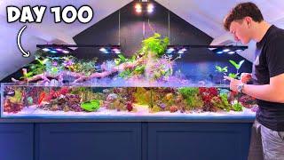 100 Days Later: Did My Saltwater Paludarium Thrive or Fail?