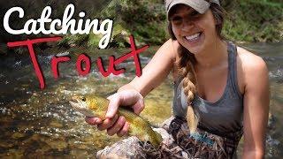 Catch and Cook | Rainbow Trout