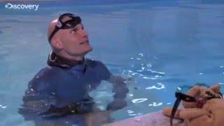 Was passiert bei Sauerstoffmangel im Körper? - Apnoetauchen Freediving Freitauchen